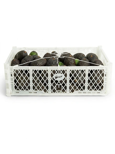 Caja de Palta Hass Calibre 22 ( 10 kg )