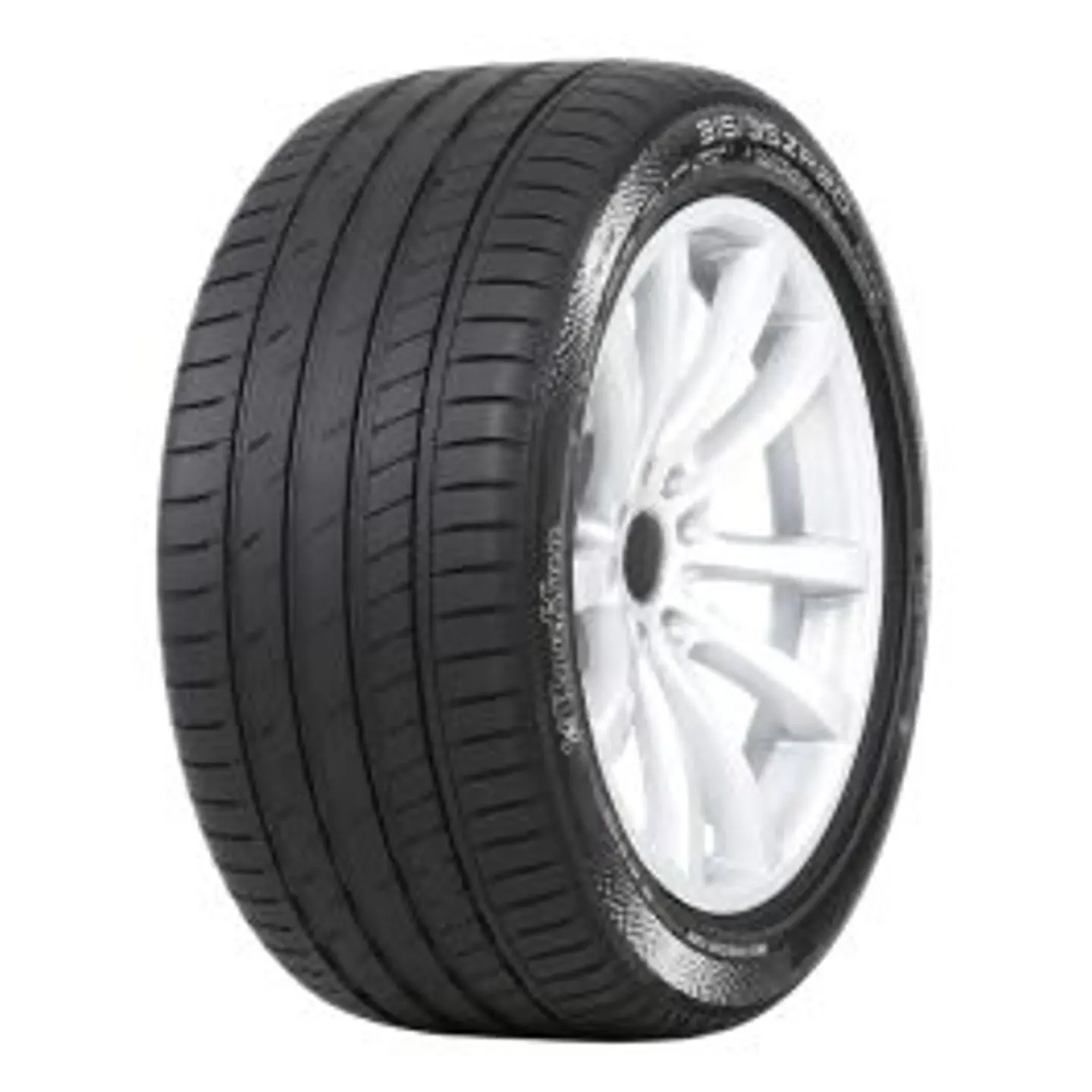 Neumático 225/55R19 RAUFAN FORZAR R4 99Y 1