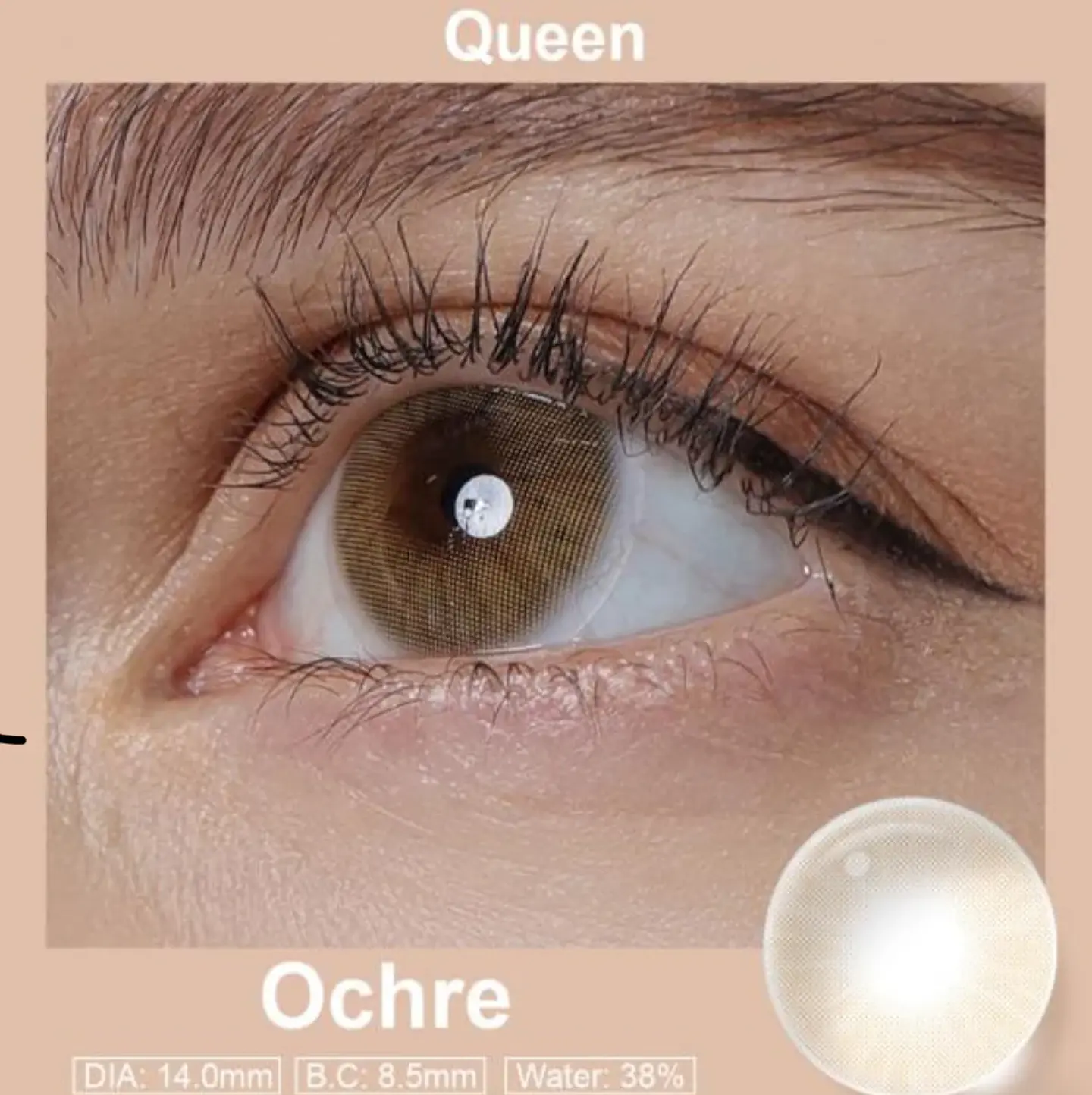Queen ochre 2