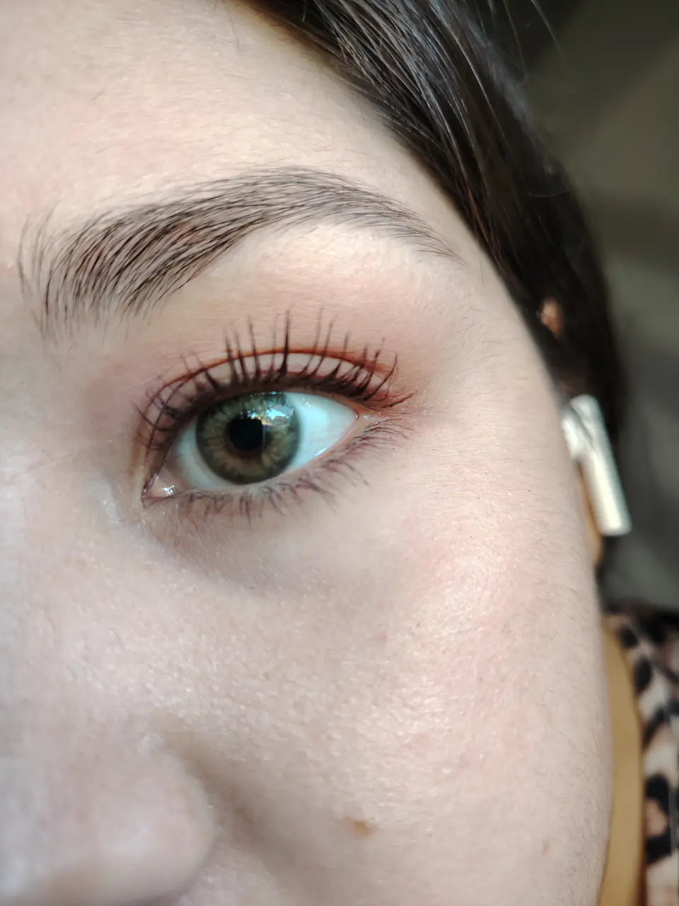 Brown hazel  6