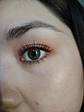 Brown hazel  - Miniatura 1