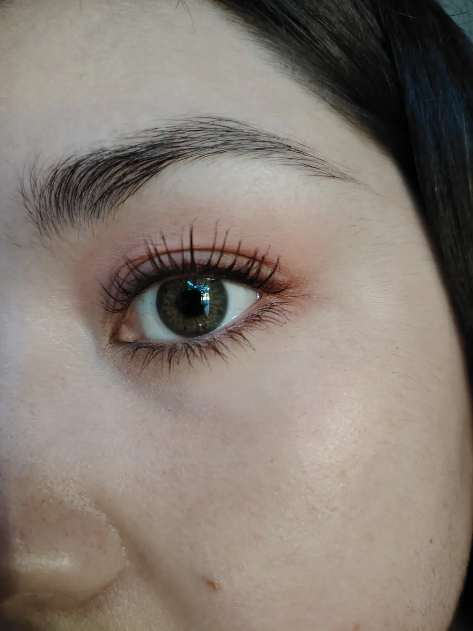 Brown hazel  1