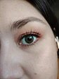 Brown hazel  - Miniatura 2
