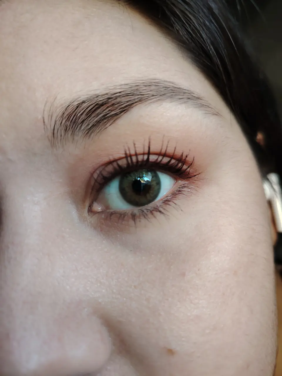 Brown hazel  2