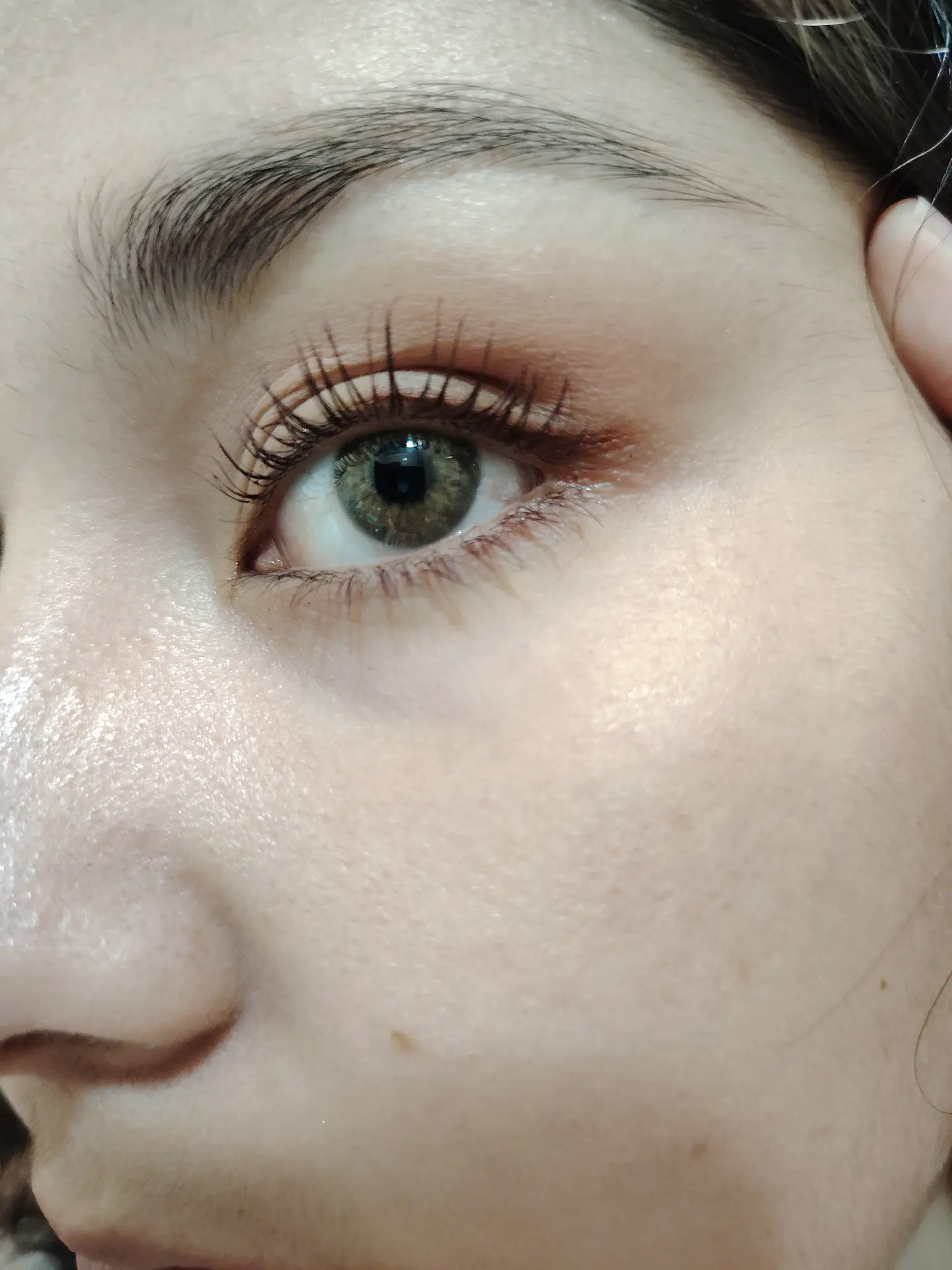 Brown hazel  5
