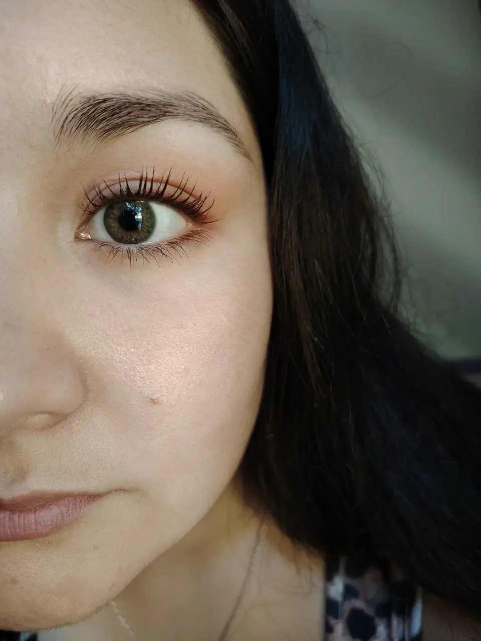 Brown hazel  4