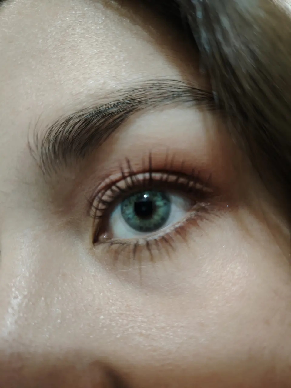 Green Gray  1