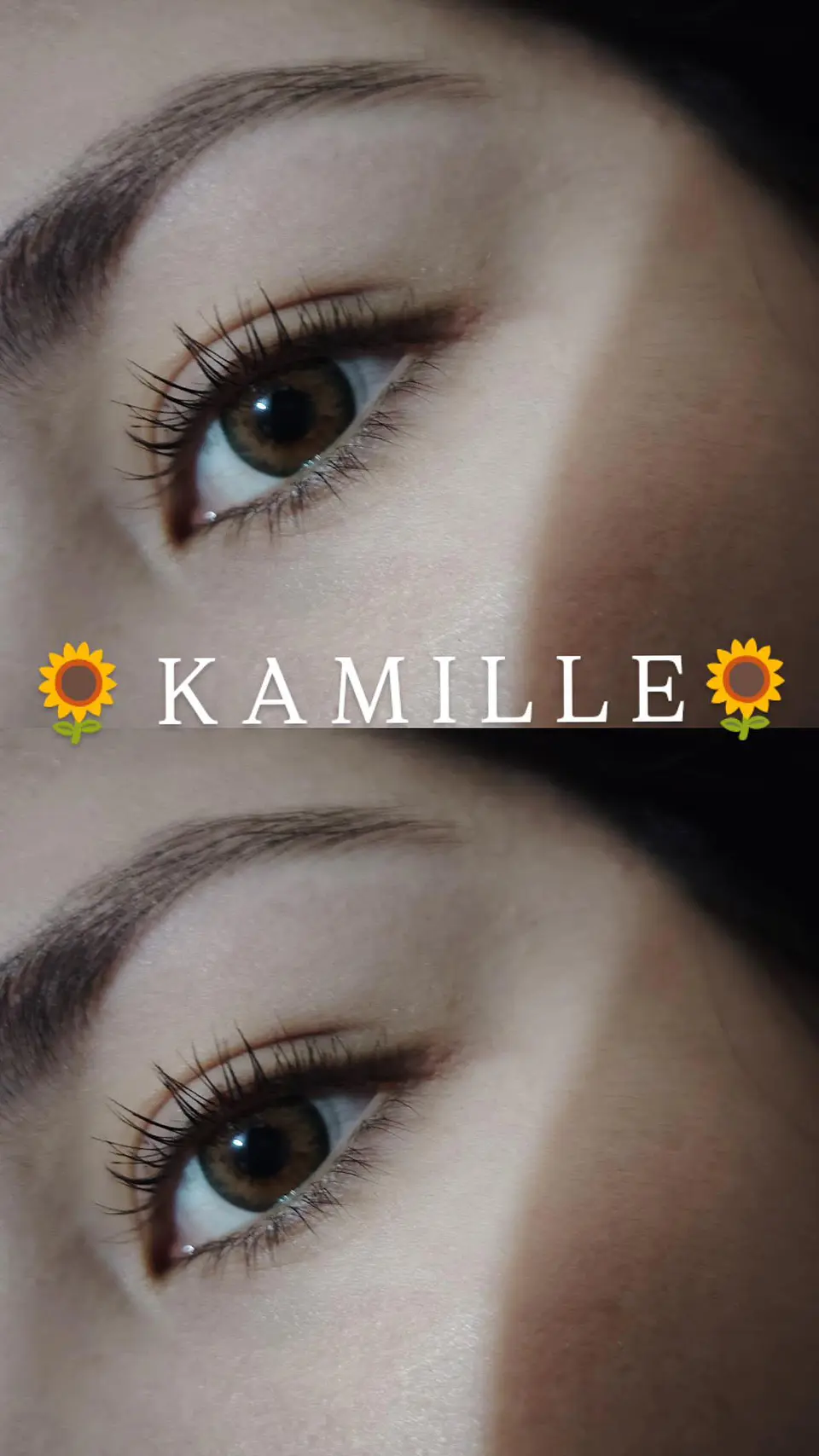 Kamille 1