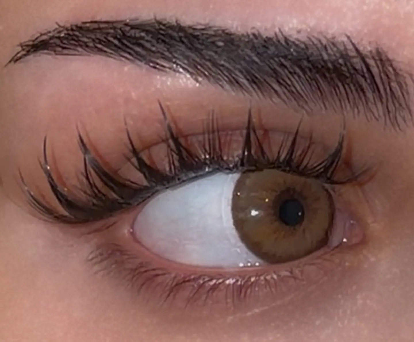 Mocha brown 2