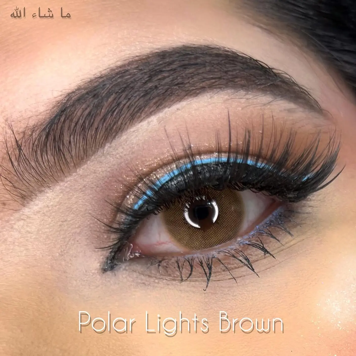 Light Brown 1