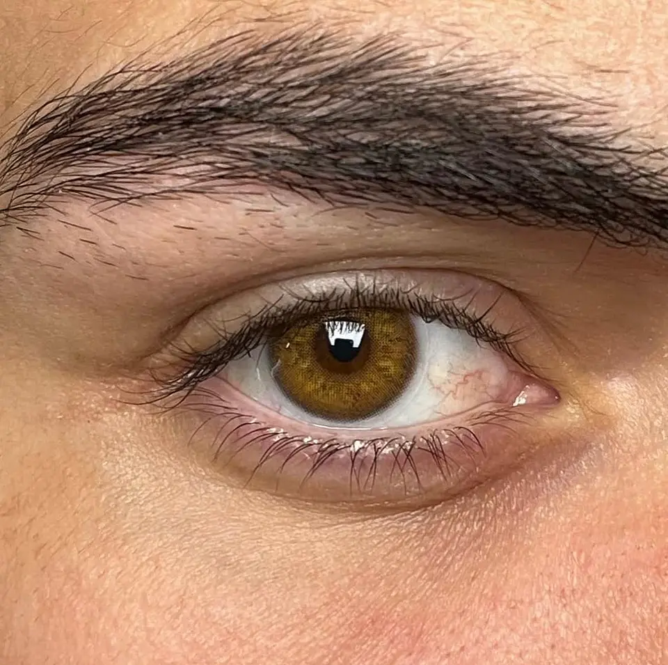 Russian Brown  1