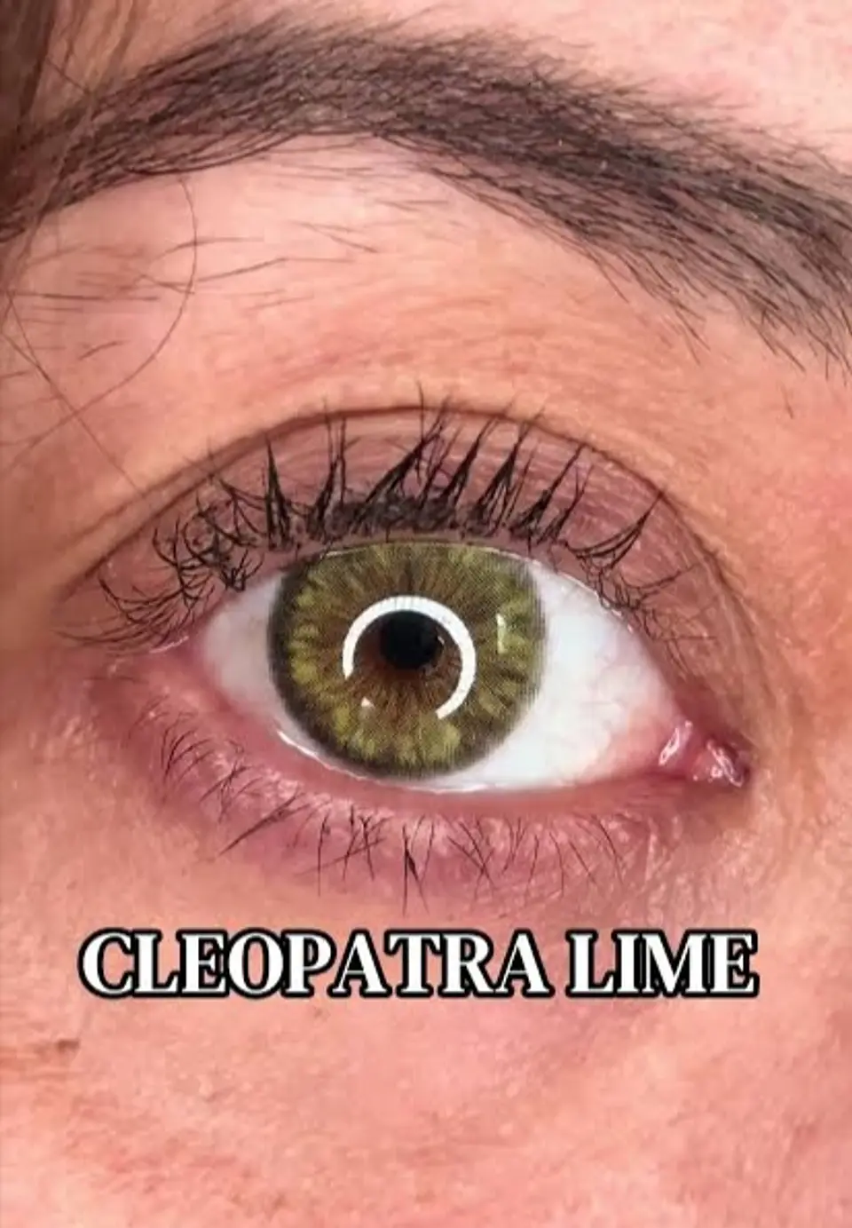 Cleopatra Lime - Urban Layer  2