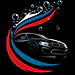 SERVICIO DE ESTÉTICA AUTOMOTRIZ SPA