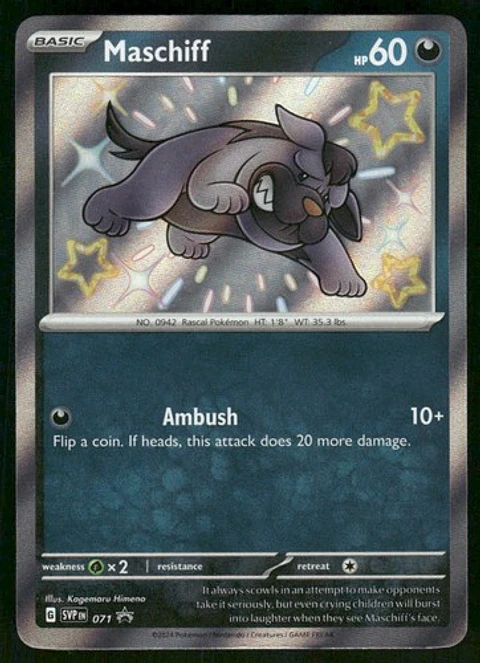 2023 Maschiff - 071 Promo Holo NM SV: Scarlet & Violet Promo Cards Pokémon