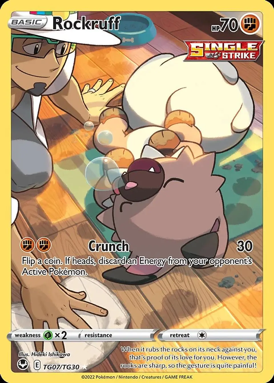 Pokemon Rockruff (TG07/30) Silver Tempest Trainer Gallery LP HOLO 1
