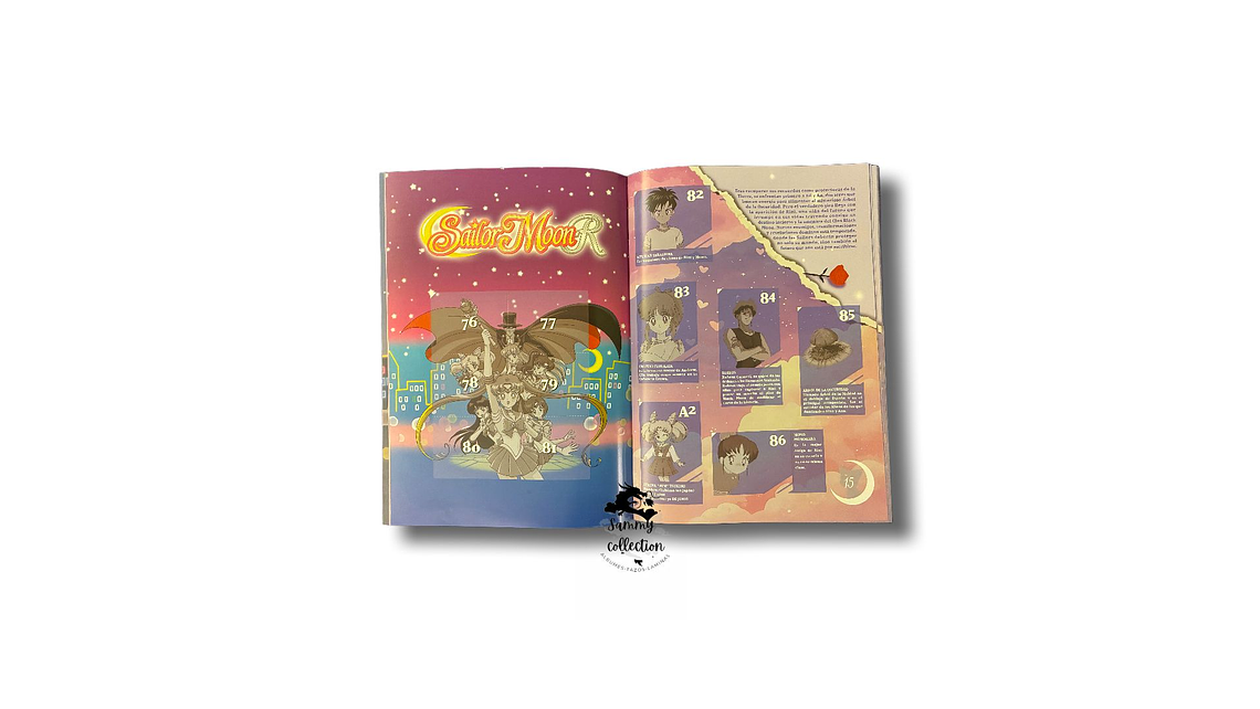 Sailor Moon: Saga Completa 3