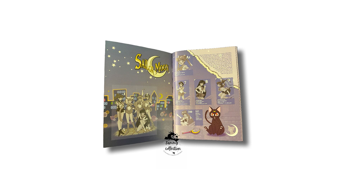 Sailor Moon: Saga Completa 4