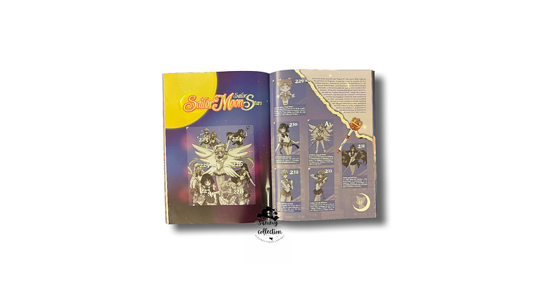 Sailor Moon: Saga Completa 6