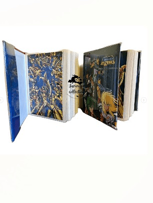 Postales CDZ - Volumen 1