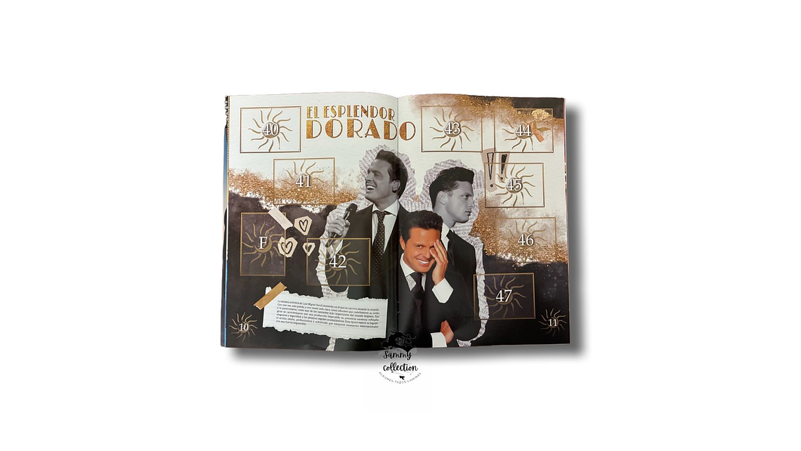 Álbum Luis Miguel 4