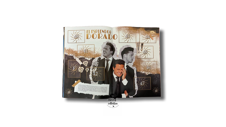 Álbum Luis Miguel 4