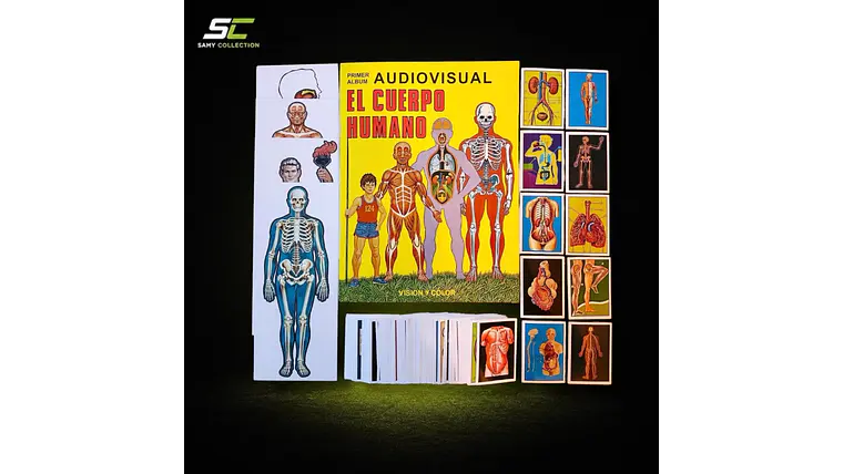 El Cuerpo Humano 2