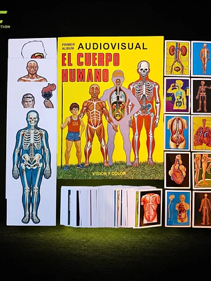 El Cuerpo Humano