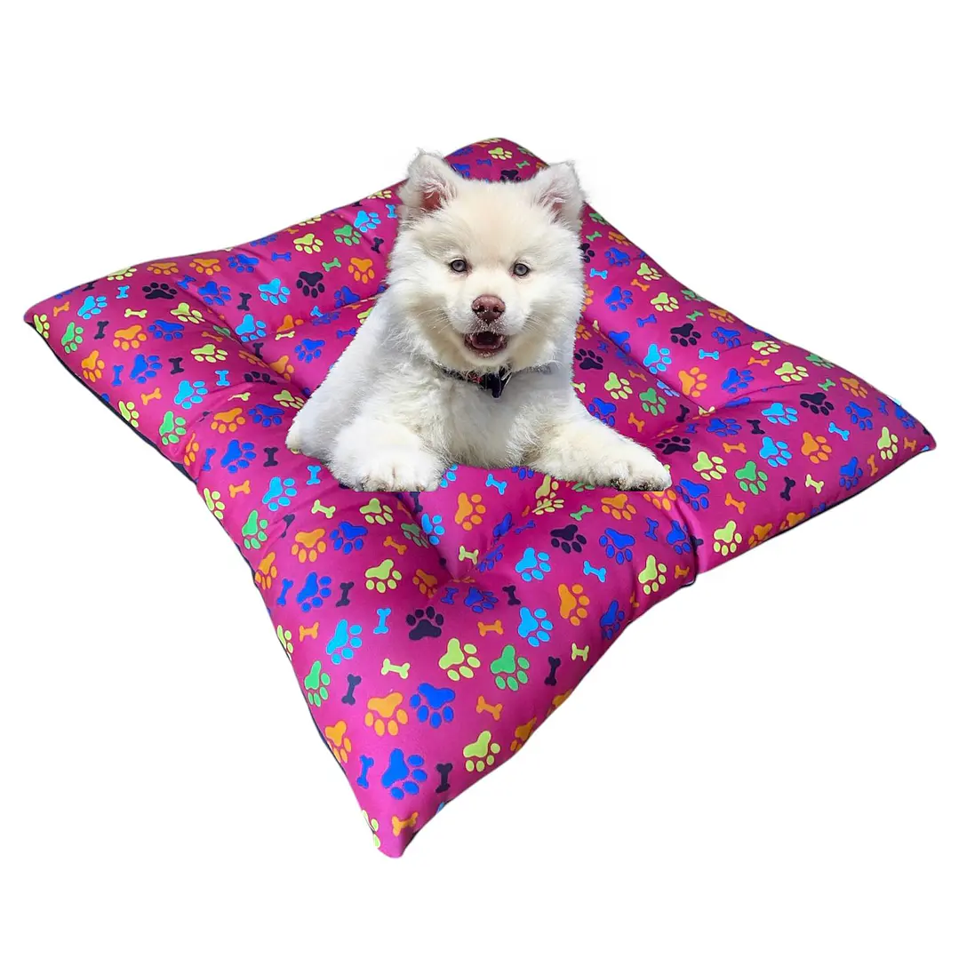 Cama Clásica 60 cm Color Fucsia 1