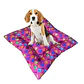 Cama Clásica 70 cm Color Fucsia - Miniatura 1