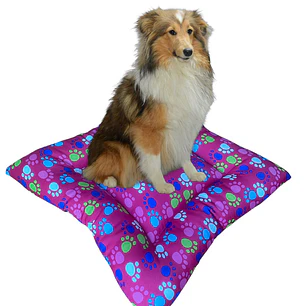 Cama Clásica 70 cm Color Magenta