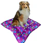Cama Clásica 70 cm Color Magenta - Miniatura 1