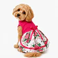 Traje Huasita Rosado - Talla 1 - Miniatura 1