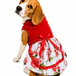 Traje Huasita Rojo - Talla 11 - Miniatura 1