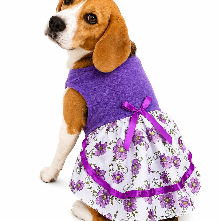 Traje Huasita Lila - Talla 12 1