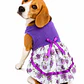 Traje Huasita Lila - Talla 12 - Miniatura 1
