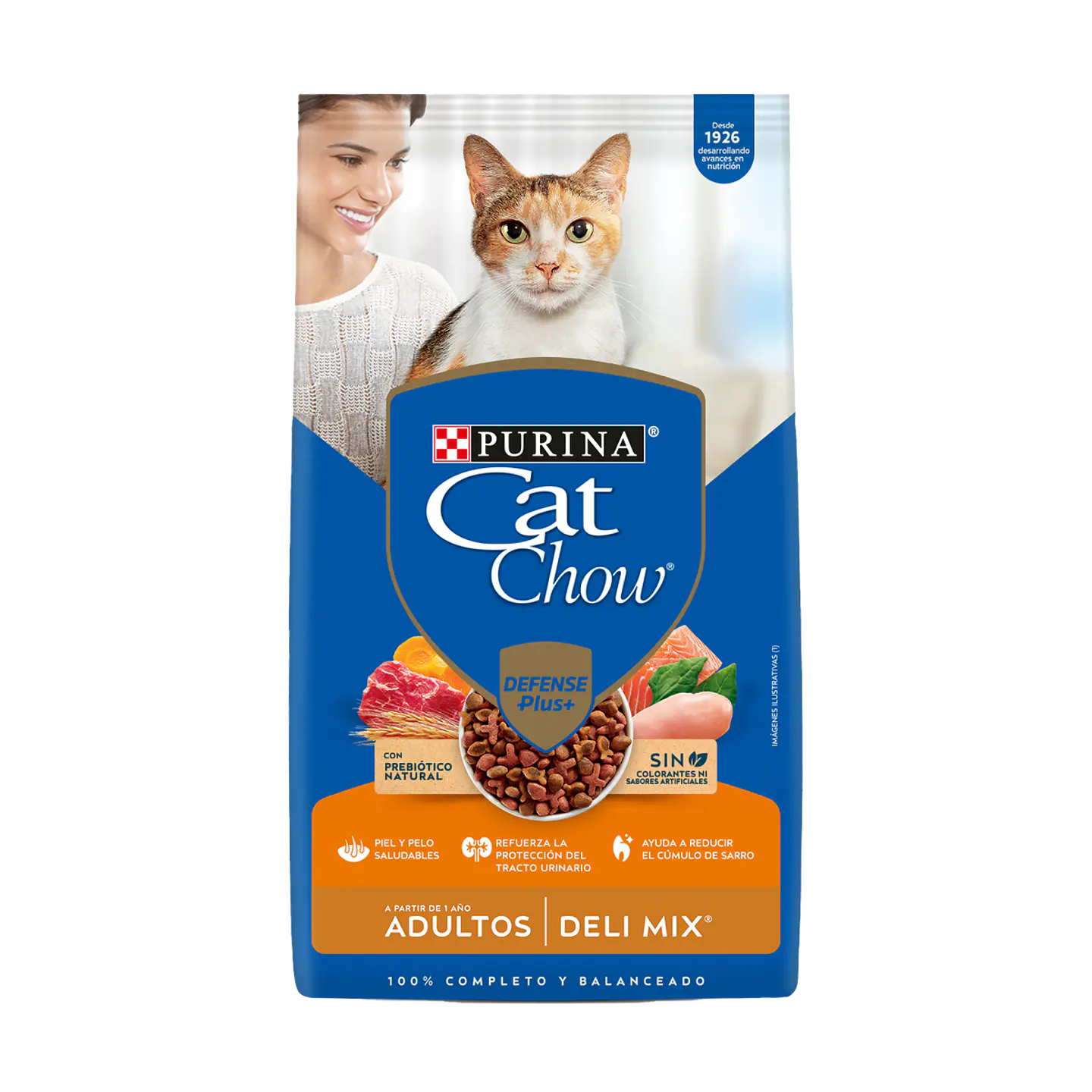 Cat Chow Relleno 19,5kg 1