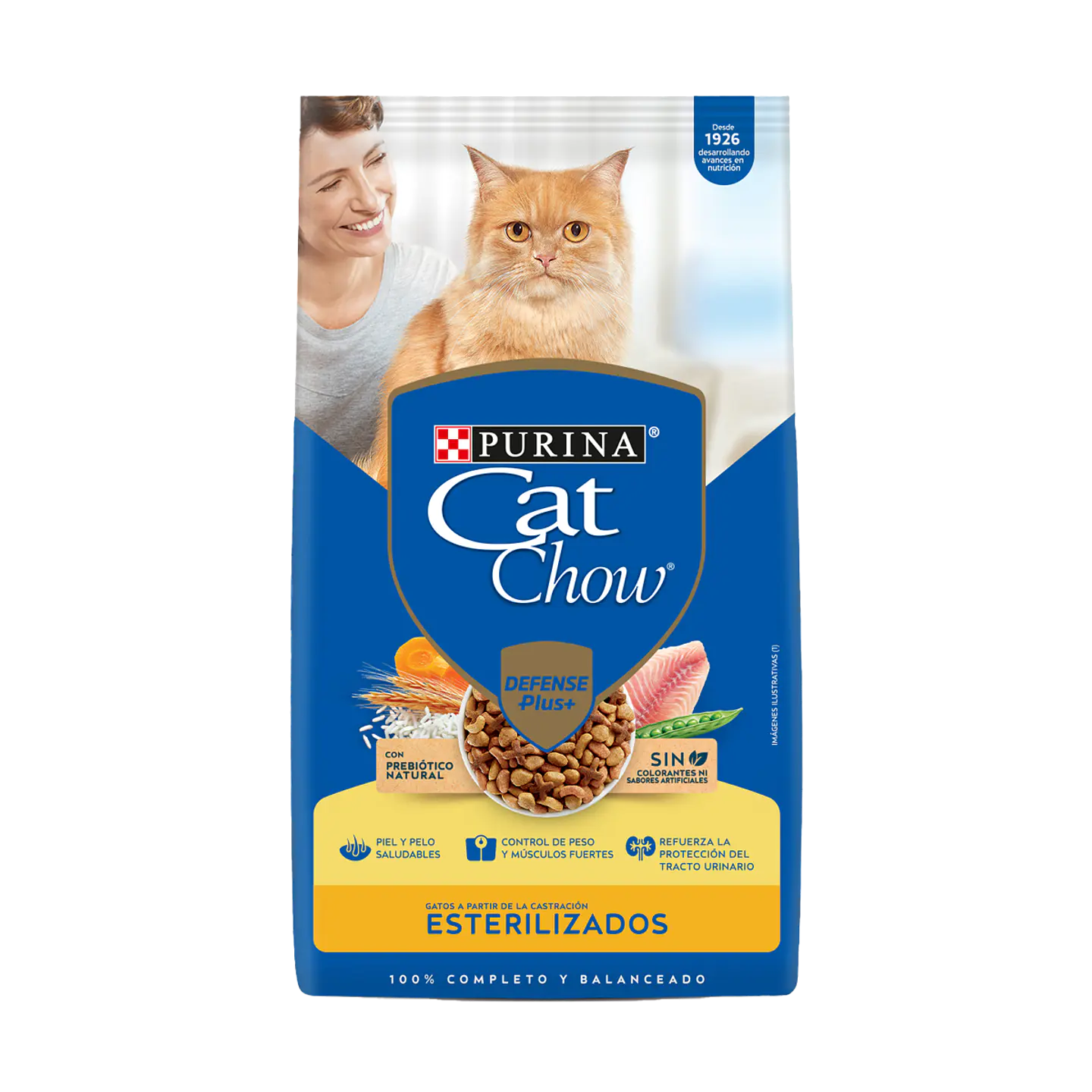 Cat Chow 1