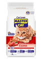 Master Cat - Miniatura 1