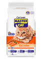 Master Cat - Miniatura 2
