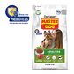 Master Dog - Miniatura 4