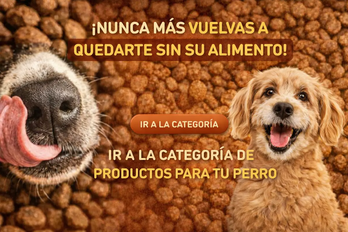 San Ignacio Pet shop