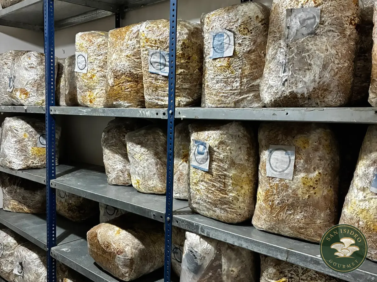 Laboratorio micológico de San Isidro Gourmet