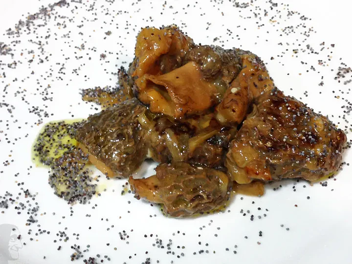 Colmenillas Guisadas al Pisco