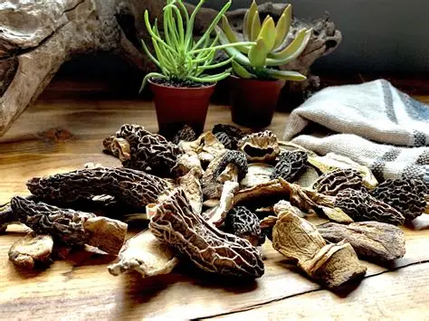 Chupe de hongos secos San Isidro Gourmet