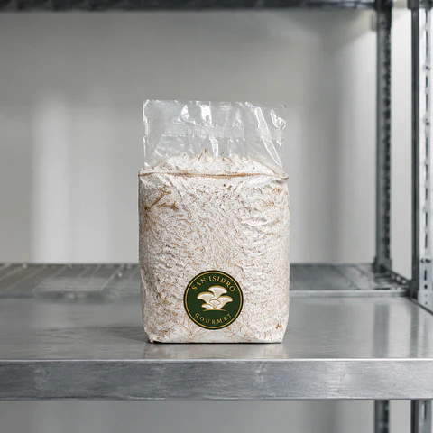 Kit de Cultivo de Melena de León 2 kg