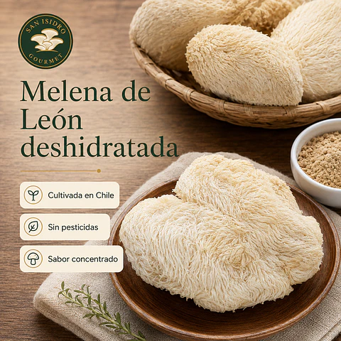 Melena de León Deshidratada