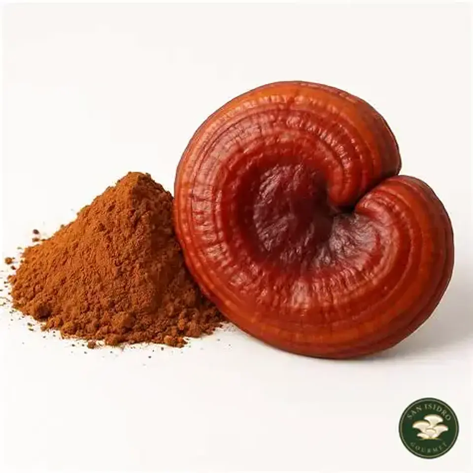 Gotario de Reishi 30 ml | Extracto líquido San Isidro Gourmet 2