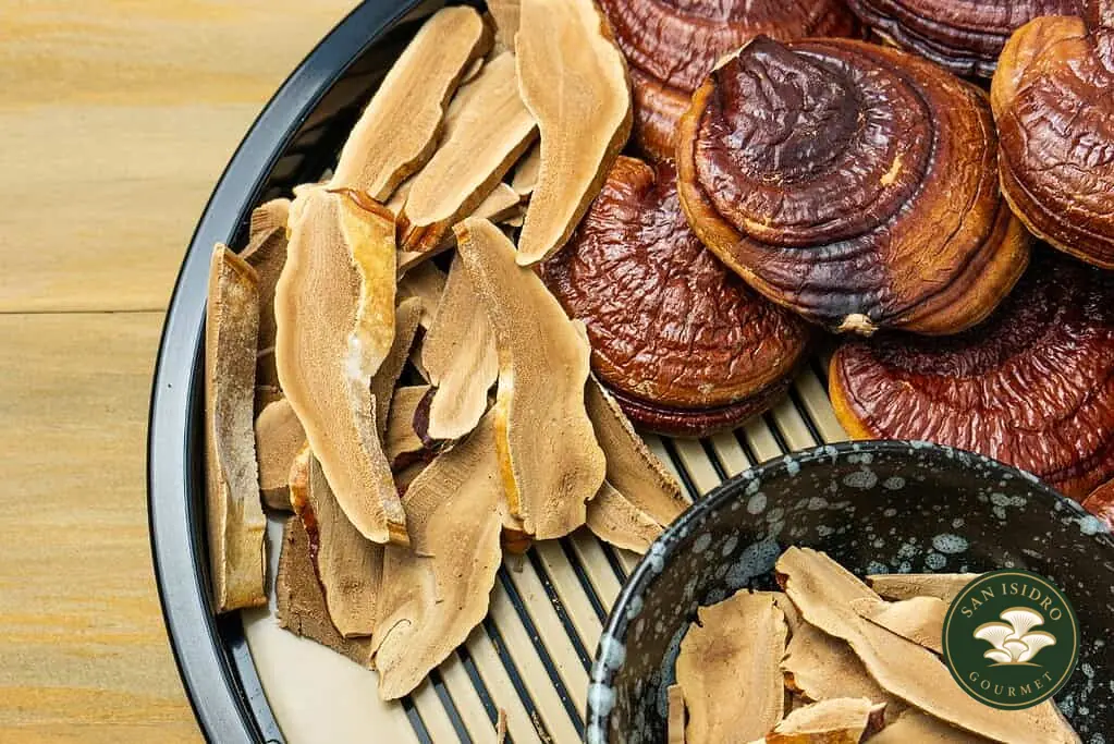 Sabías que el Reishi se usa hace más de 2.000 años como adáptogeno