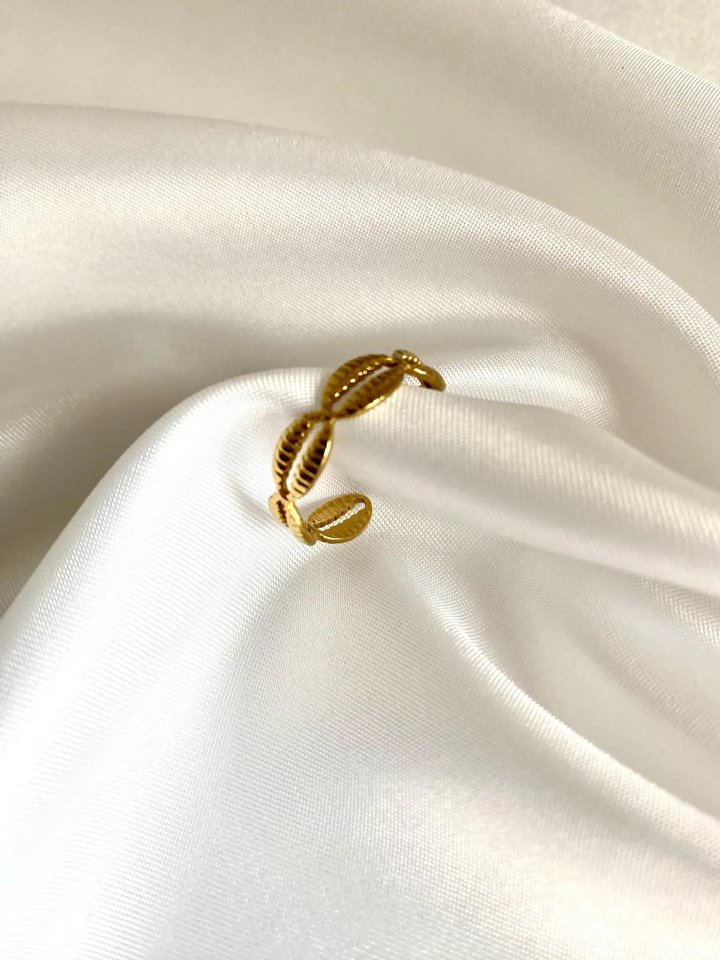 Noah Ring 2