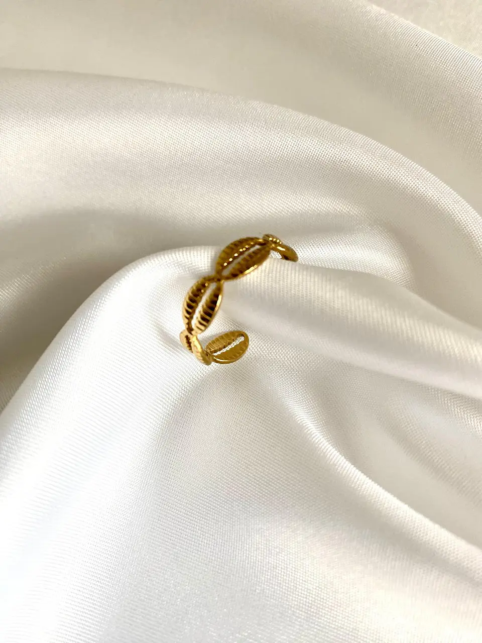 Noah Ring 2